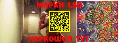 шишки Донской