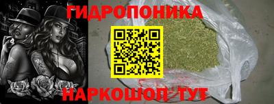шишки Донской